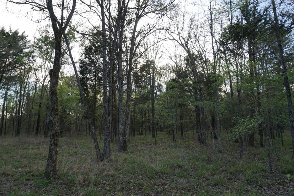 5.2 acres in HENDERSON County - photo 15