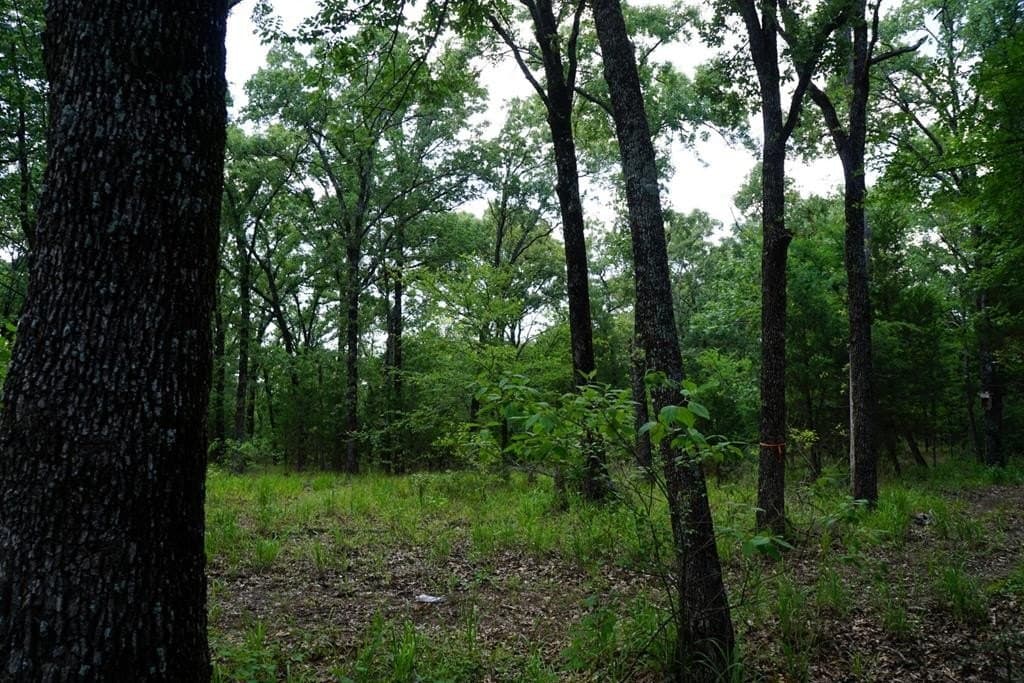 5.2 acres in HENDERSON County - photo 26