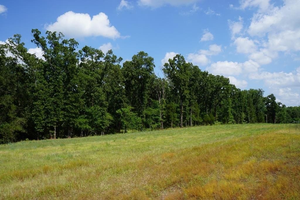 5.2 acres in HENDERSON County - photo 11