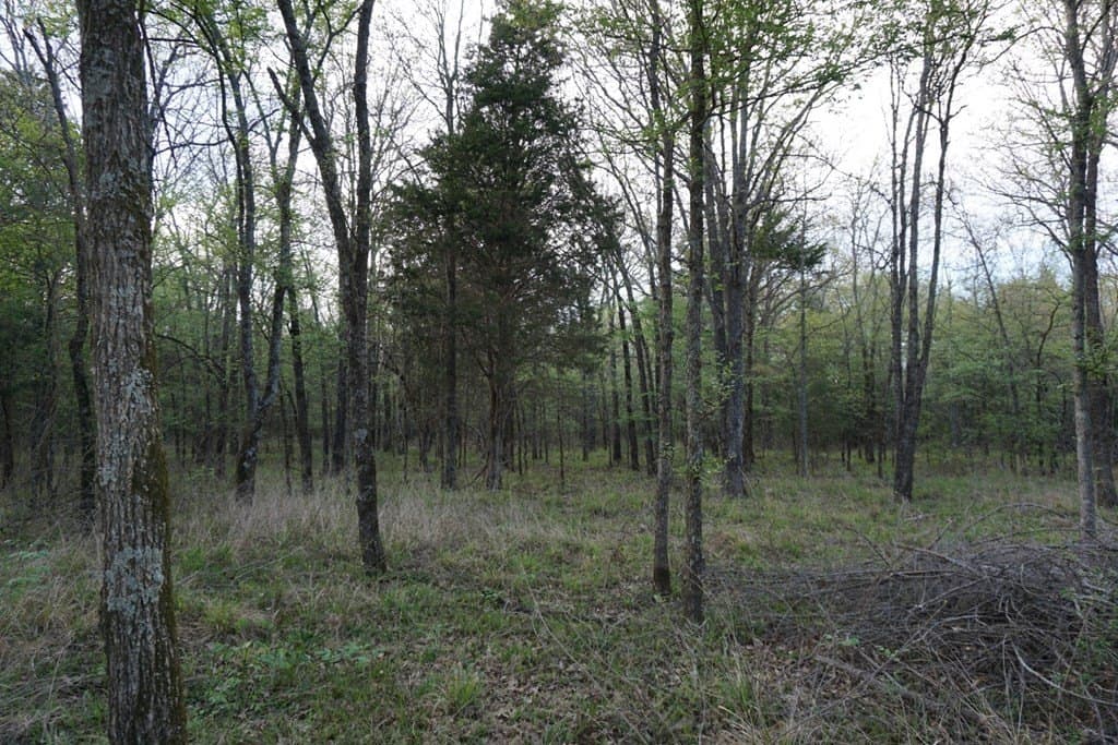 5.2 acres in HENDERSON County - photo 9