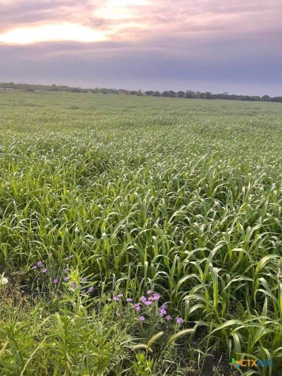 Private Road 3642 lot: 7