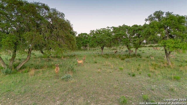 10.95 acres in Bandera County - photo 17