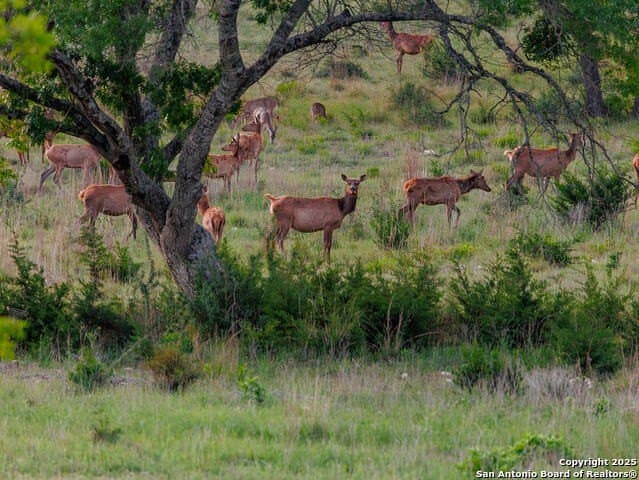 10.95 acres in Bandera County - photo 14