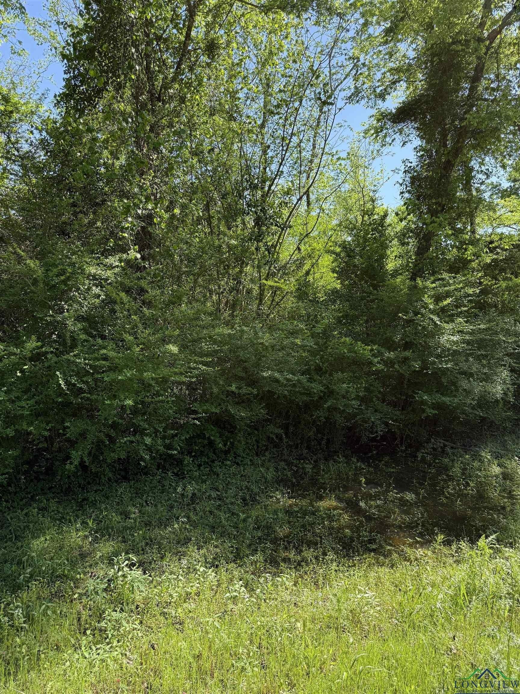 3 acres in Rusk County - photo 3