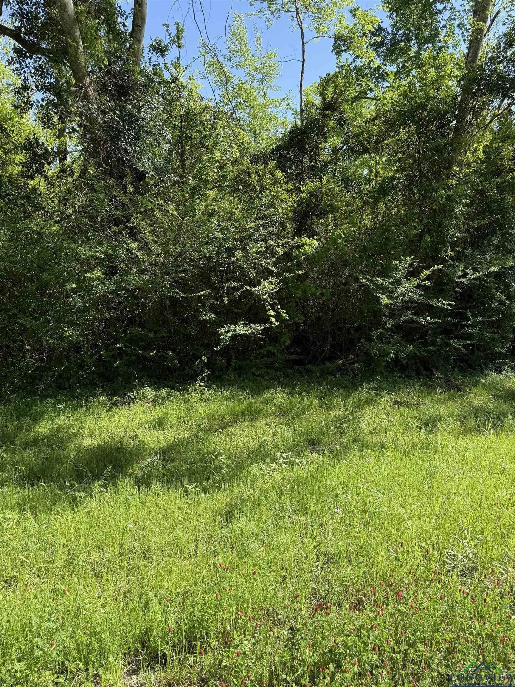3 acres in Rusk County - photo 2
