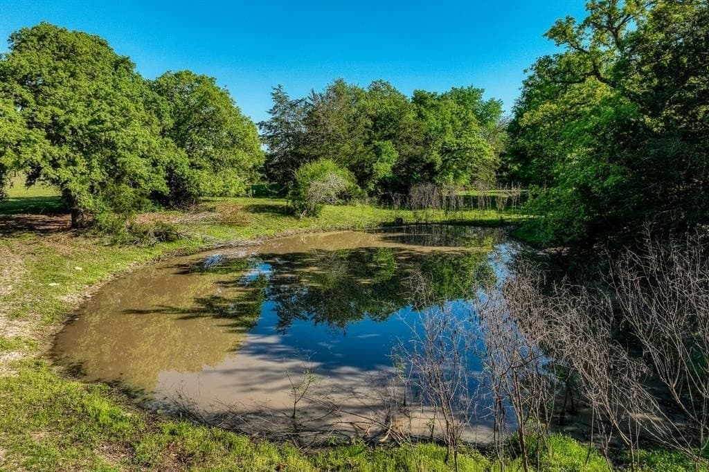 12.14 acres in Burleson County - photo 13