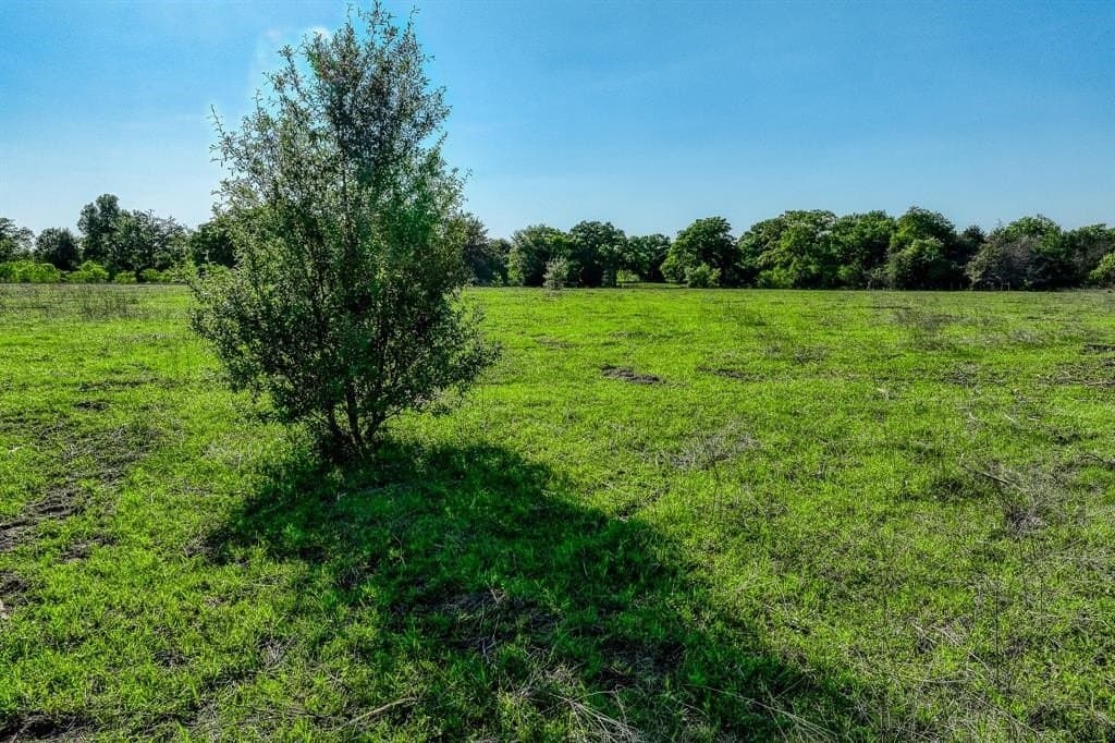 12.14 acres in Burleson County - photo 21