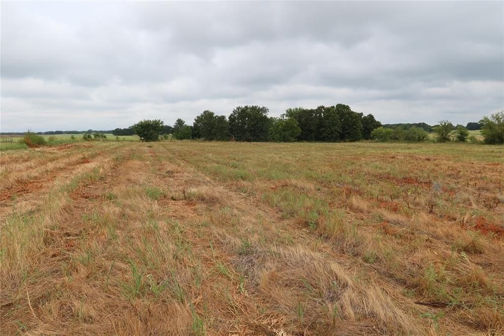 5.58 acres in Montague County - photo 12