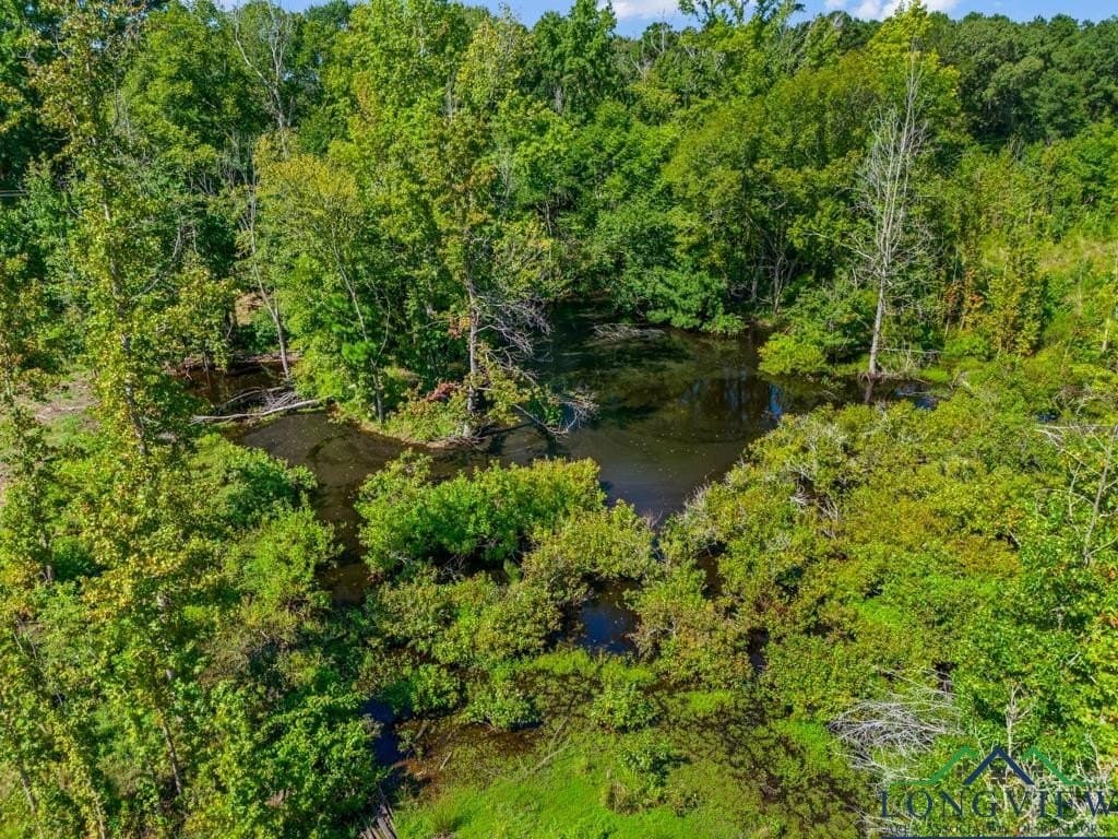 152 acres in Texas County - photo 23