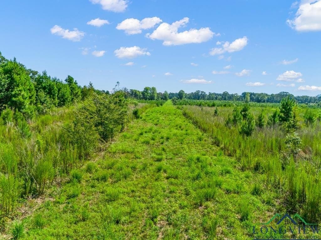 152 acres in Texas County - photo 16