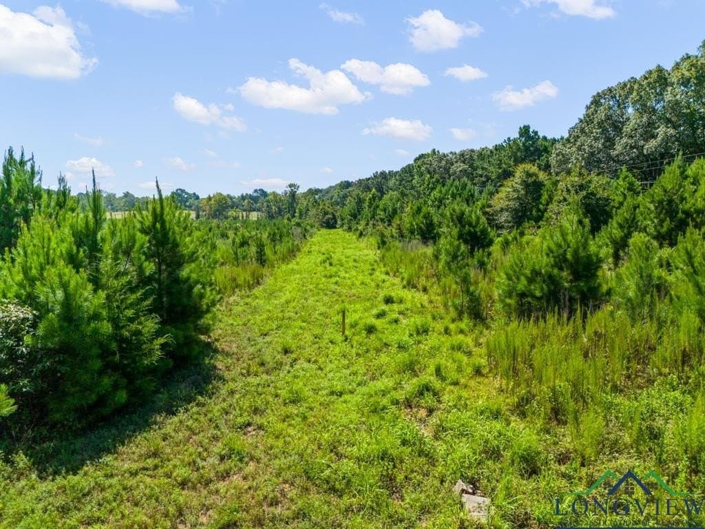 152 acres in Texas County - photo 28