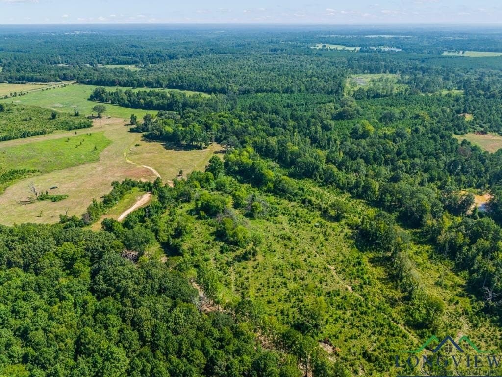 152 acres in Texas County - photo 9