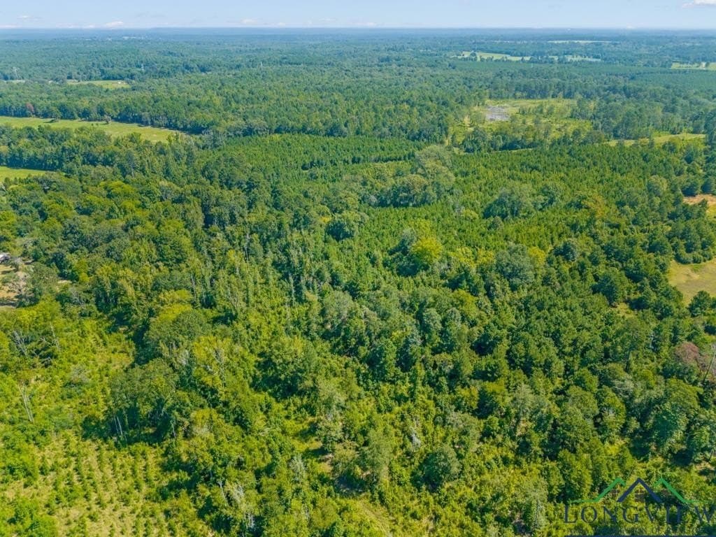 152 acres in Texas County - photo 32