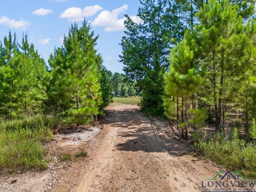 152 acres in Texas County - photo 34