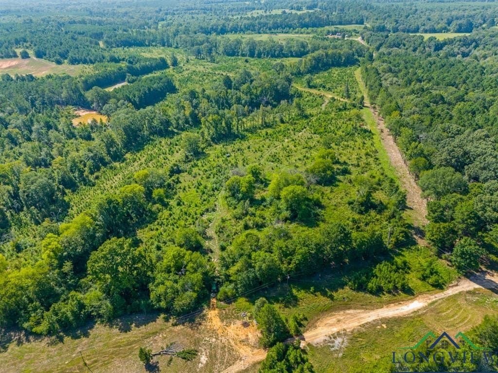 152 acres in Texas County - photo 11