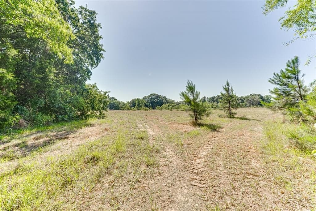 10 acres in Rains County - photo 11