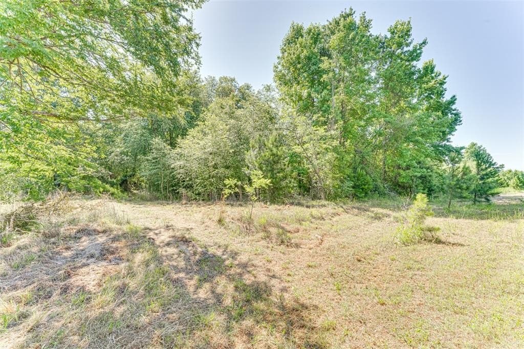 10 acres in Rains County - photo 8