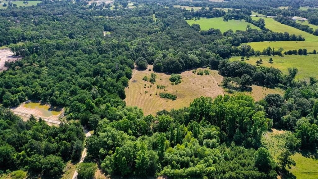10 acres in Rains County - photo 18