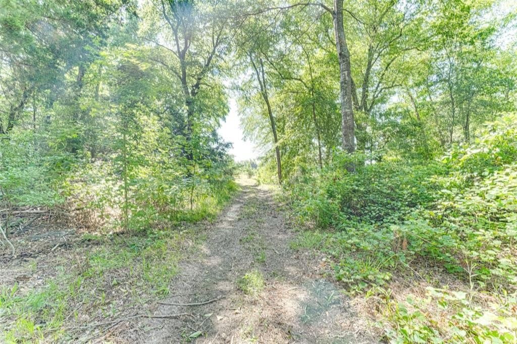 10 acres in Rains County - photo 10
