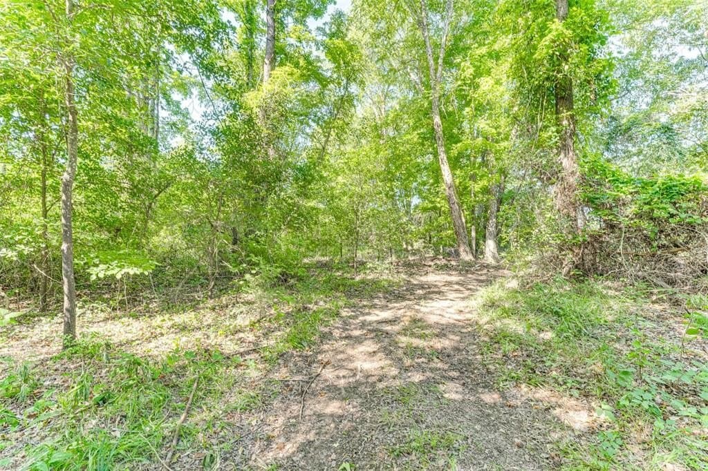 10 acres in Rains County - photo 9