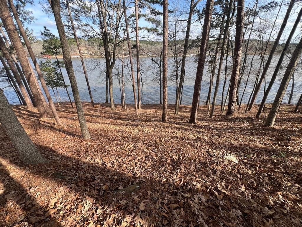 1.54 acres in Upshur County - photo 17