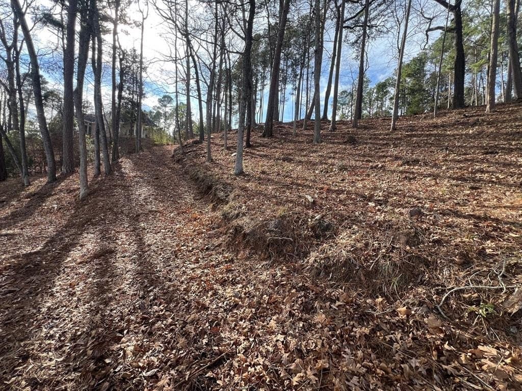 1.54 acres in Upshur County - photo 13