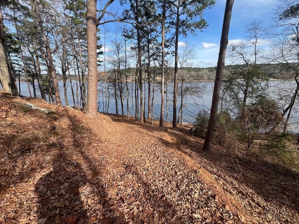 1.54 acres in Upshur County - photo 18