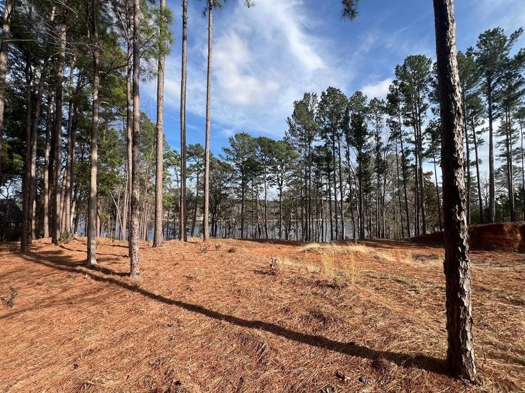 1.54 acres in Upshur County - photo 20