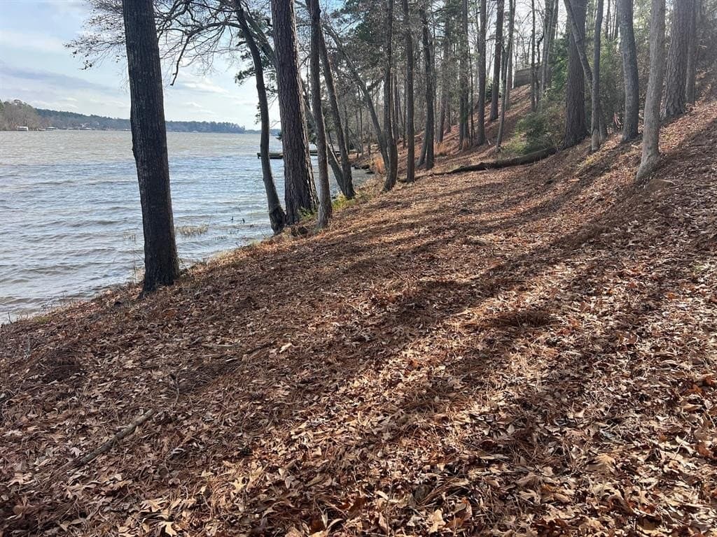 1.54 acres in Upshur County - photo 12