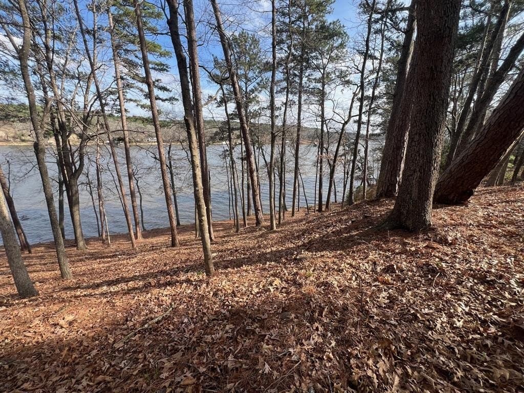1.54 acres in Upshur County - photo 16