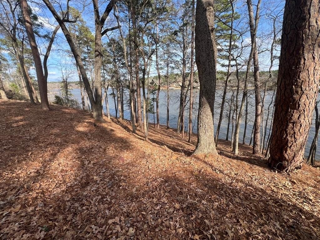 1.54 acres in Upshur County - photo 15
