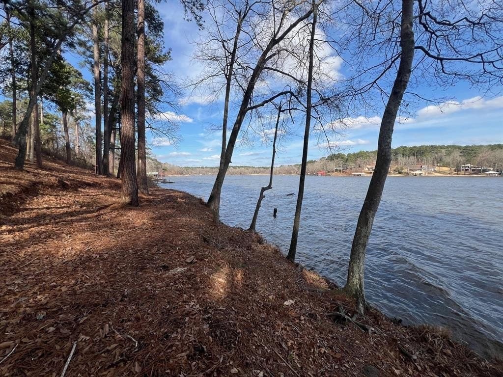 1.54 acres in Upshur County - photo 11