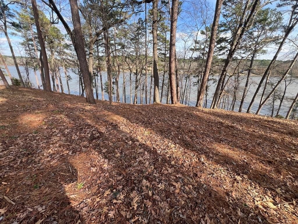 1.54 acres in Upshur County - photo 19