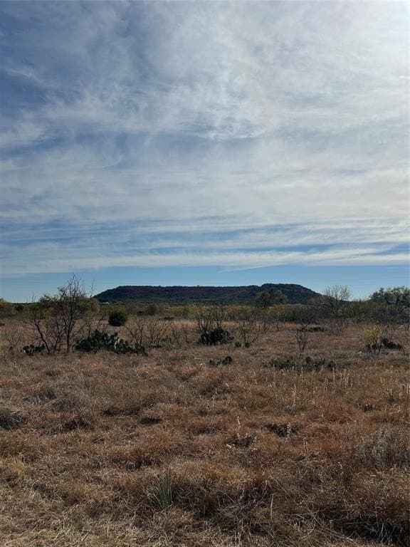25 acres in Coleman County - photo 7