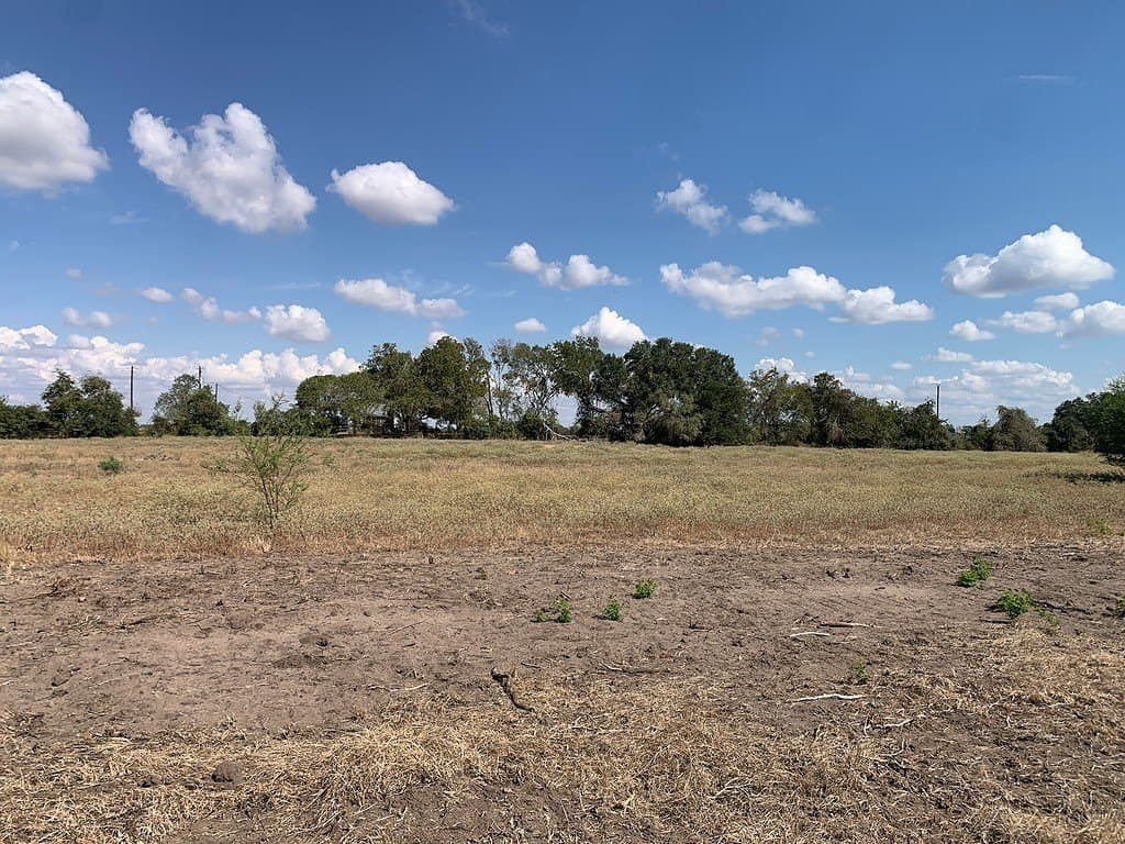 10.81 acres in Colorado County - photo 9