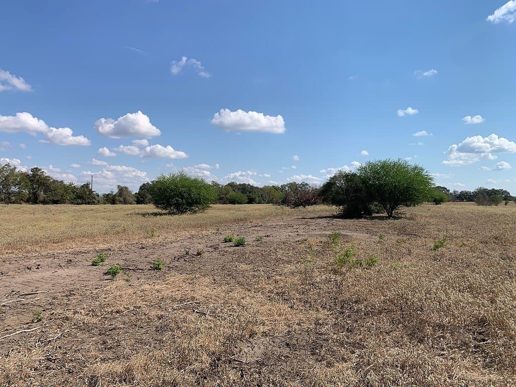 10.81 acres in Colorado County - photo 4
