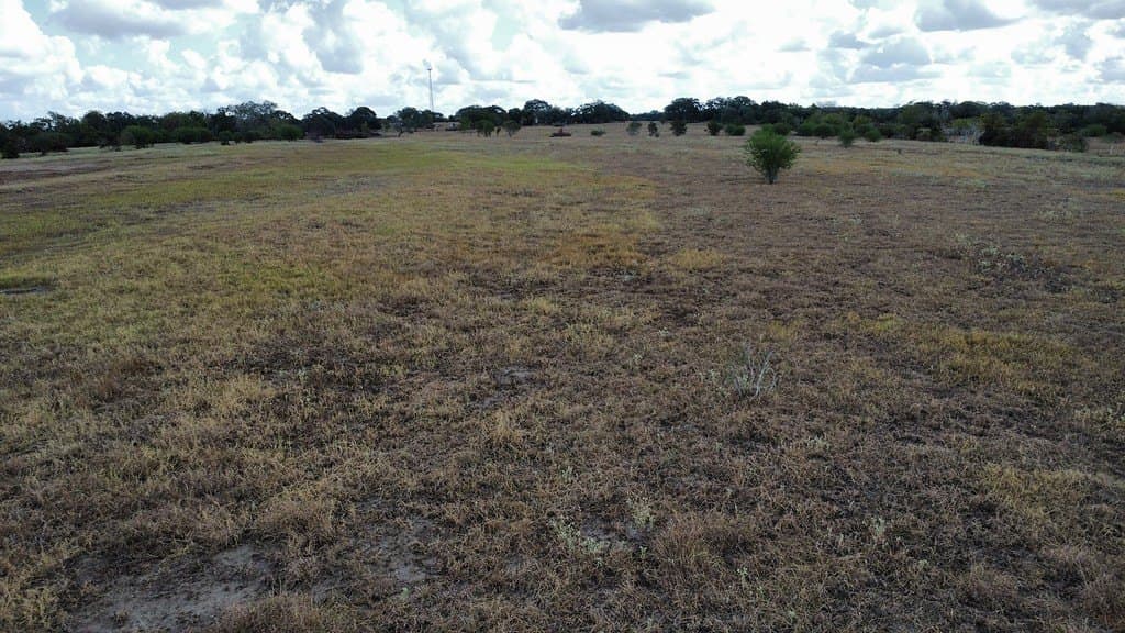10.81 acres in Colorado County - photo 10