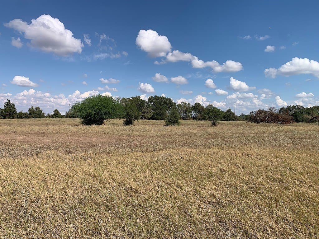 10.81 acres in Colorado County - photo 2