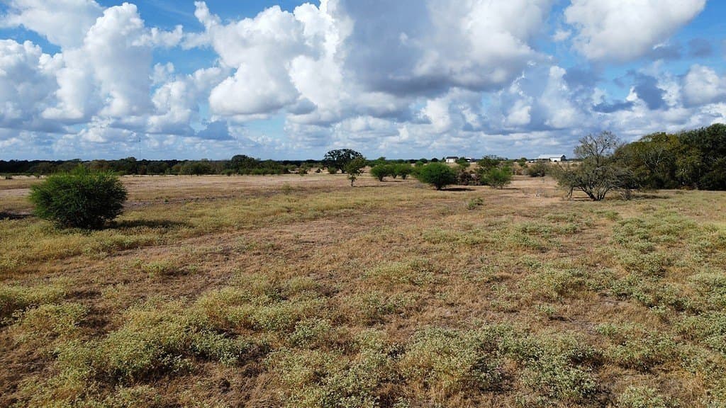 10.81 acres in Colorado County - photo 5