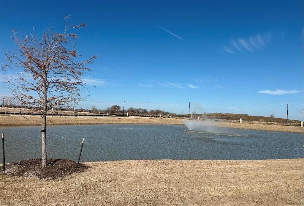 0.29 acres in Denton County - photo 2