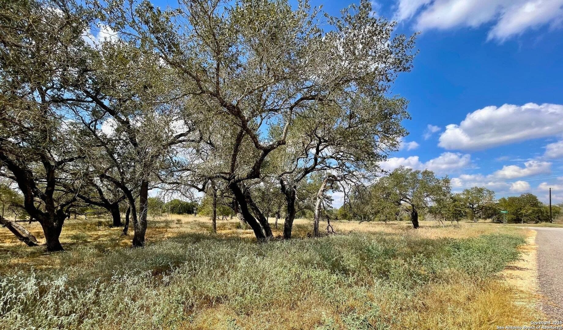 1 acres in Wilson County - photo 3