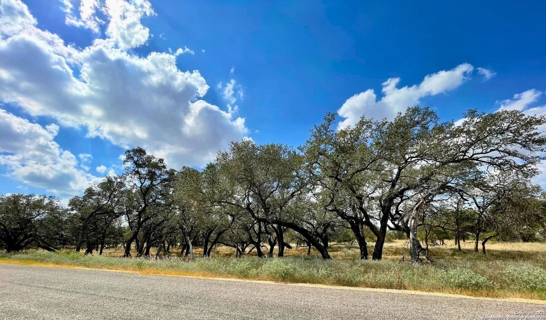 1 acres in Wilson County - photo 16