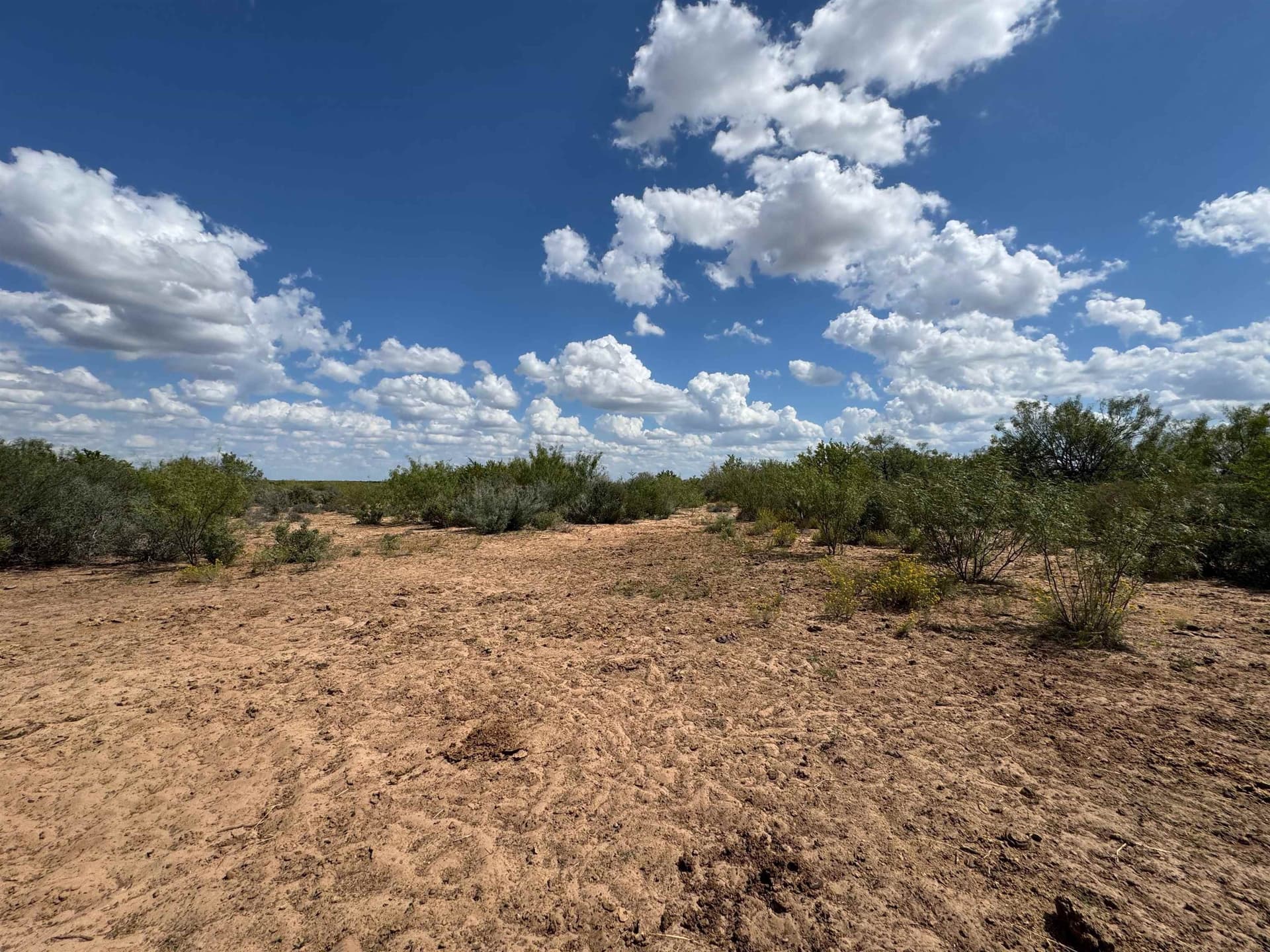 54 acres in Webb County - photo 19