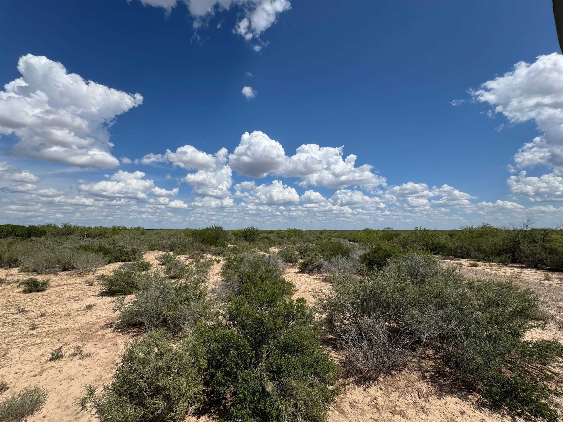 54 acres in Webb County - photo 5
