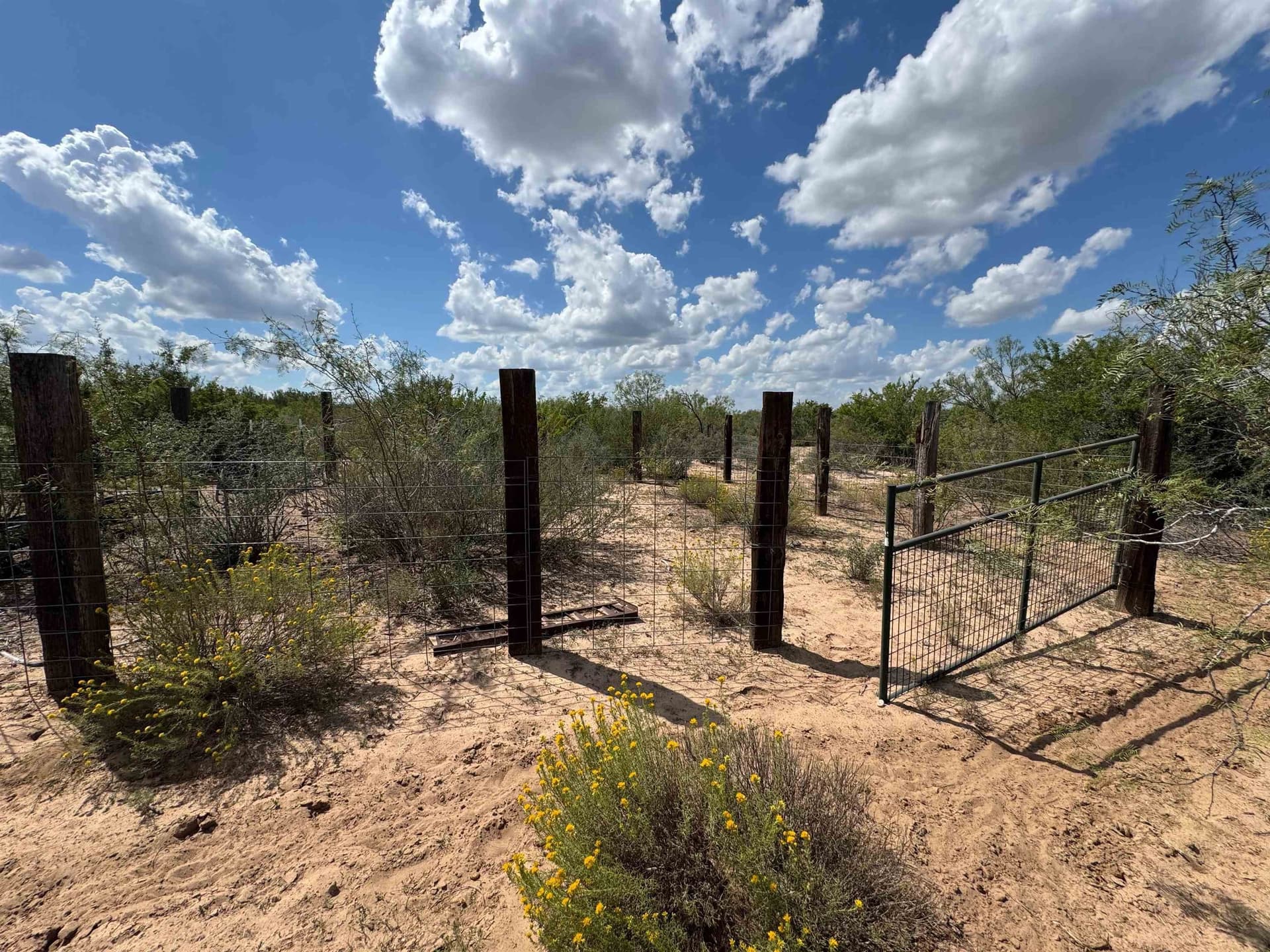 54 acres in Webb County - photo 9
