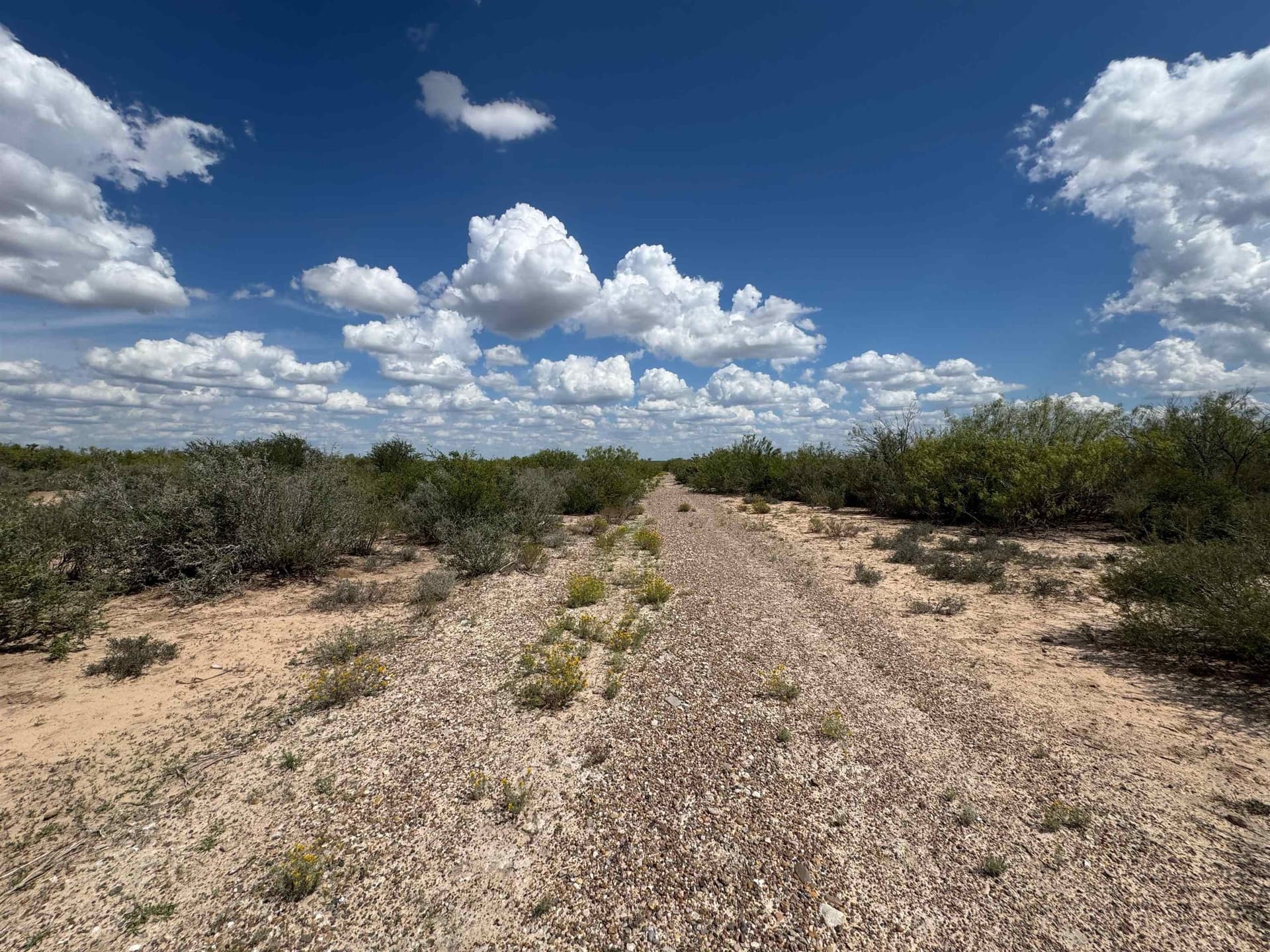 54 acres in Webb County - photo 3
