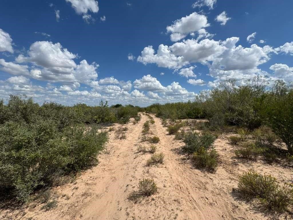 54 acres in Webb County - photo 21