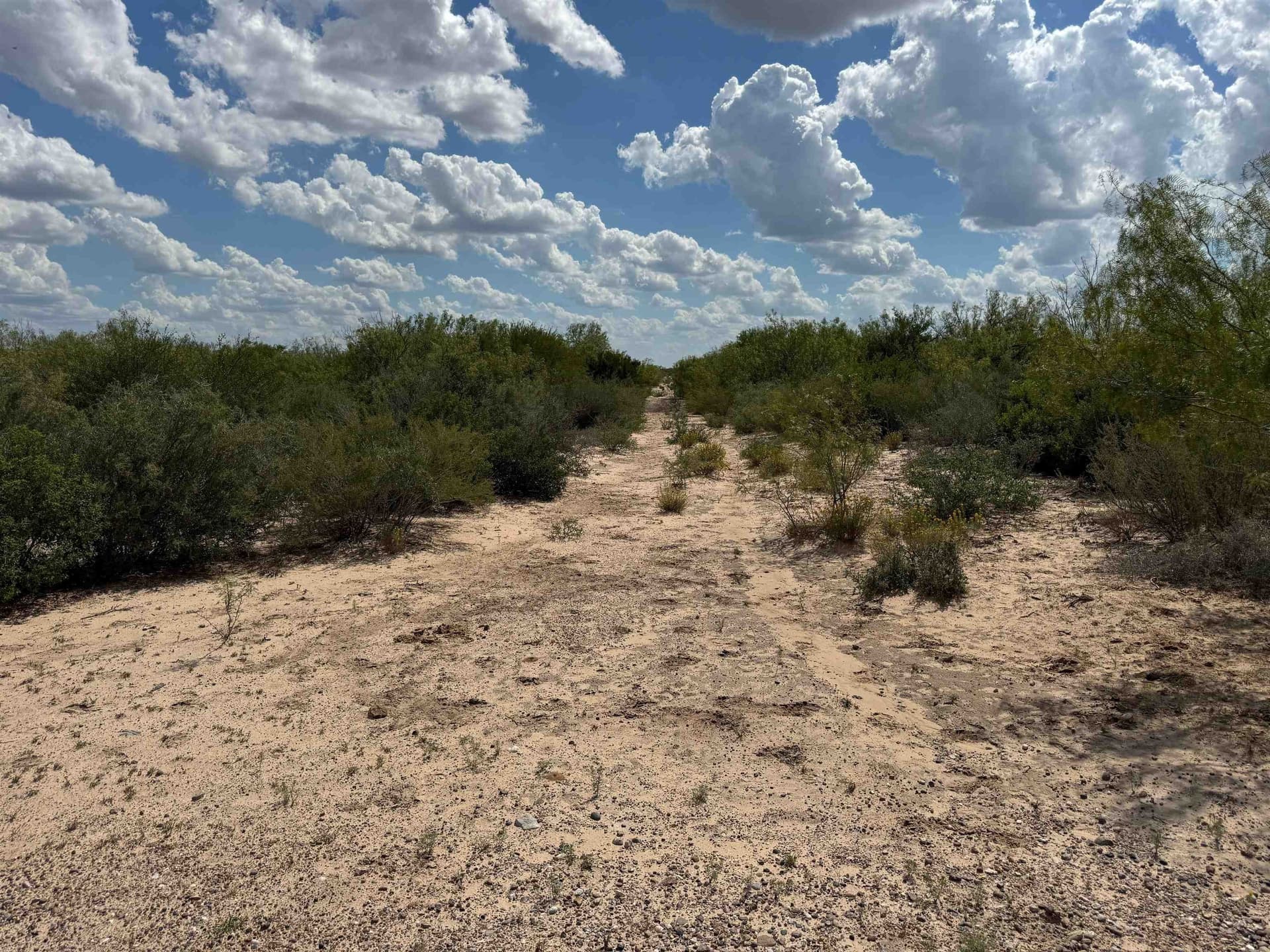 54 acres in Webb County - photo 2