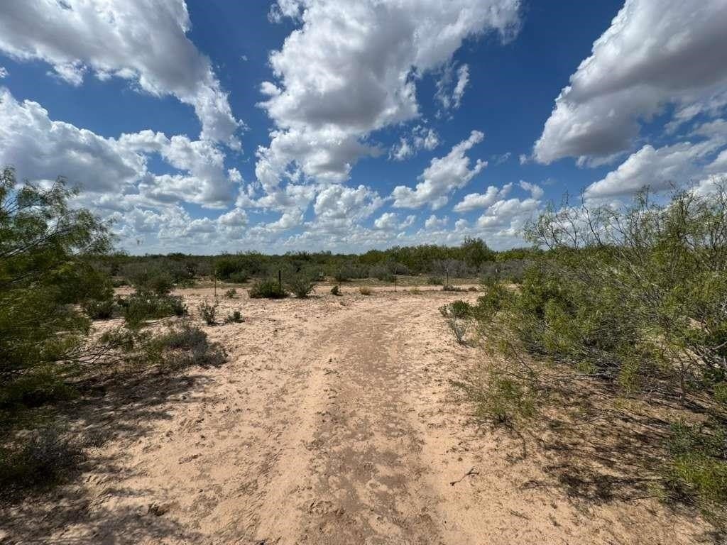 54 acres in Webb County - photo 23