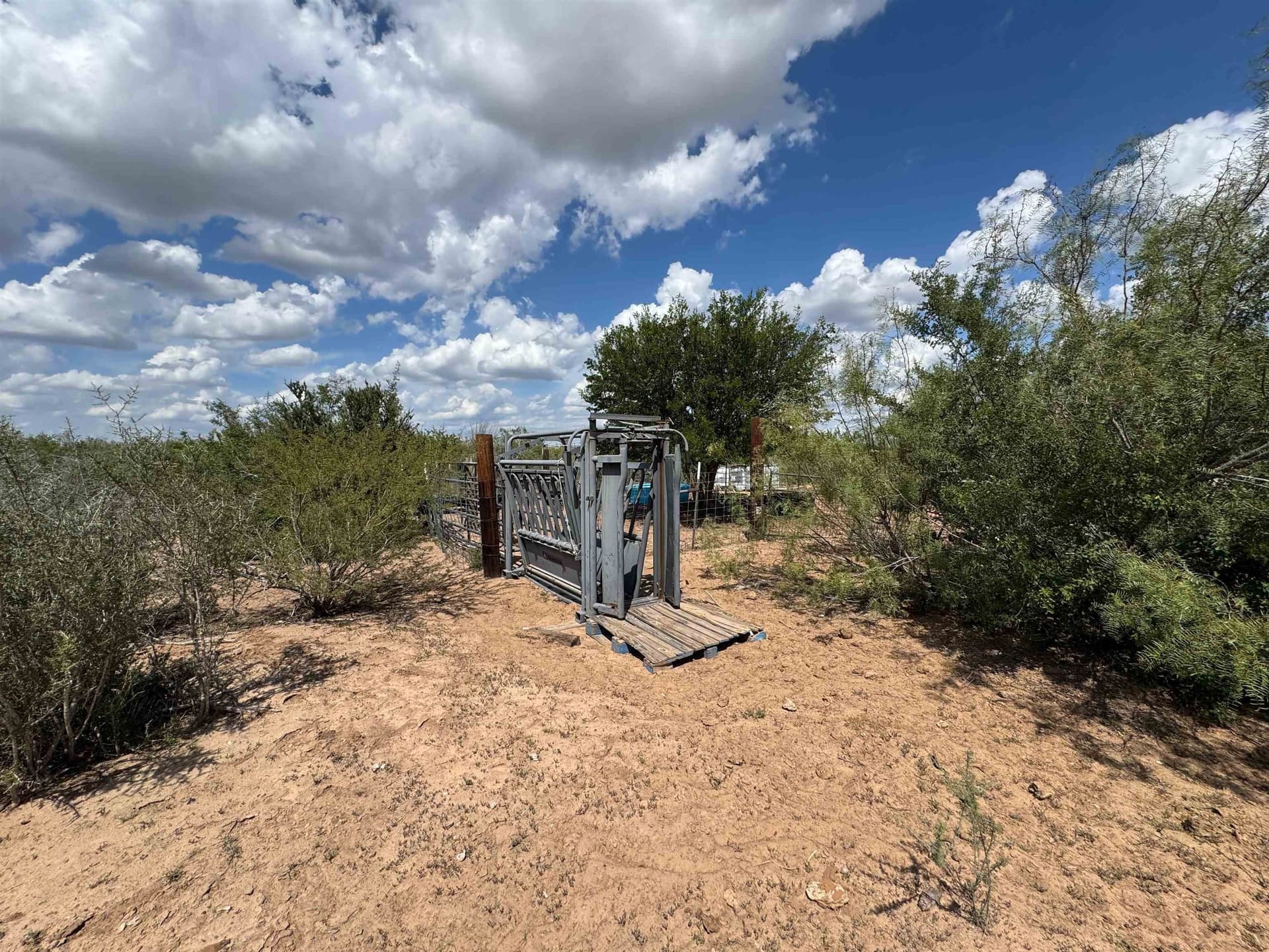 54 acres in Webb County - photo 14